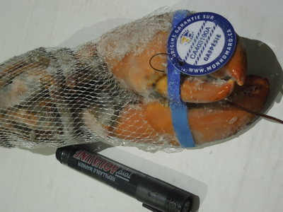 加拿大波士頓龍蝦2014年新貨 原裝進口增重，工廠直供餐飲批發