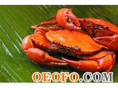 東港市黃海水產(chǎn)品批發(fā)市場利源海鮮批發(fā)商行 供應(yīng)優(yōu)質(zhì)鮮活梭子蟹與飛蟹，物美價廉