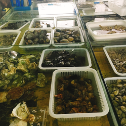 成都農(nóng)產(chǎn)品中心批發(fā)市場海水產(chǎn)交易區(qū)信息指南